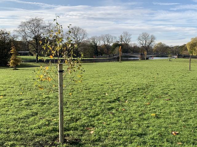 140th Year - Tree Planting in East Park
