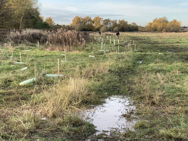140th Year - Tree Planting at Rockford Fields Nature Reserve